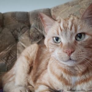 Meet your Posher, Alexandra